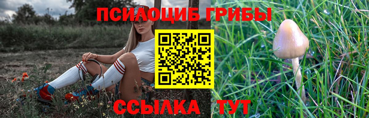 Псилоцибиновые грибы мицелий  Псилоцибиновые грибы ЛСД  Вход с VPN  Армавир 
